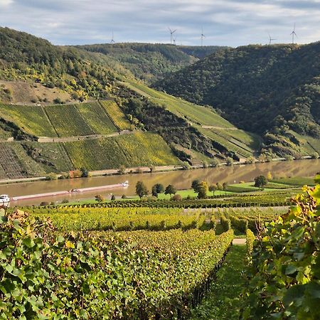 Weingut Mathy-Schanz Osann-Monzel Exterior foto