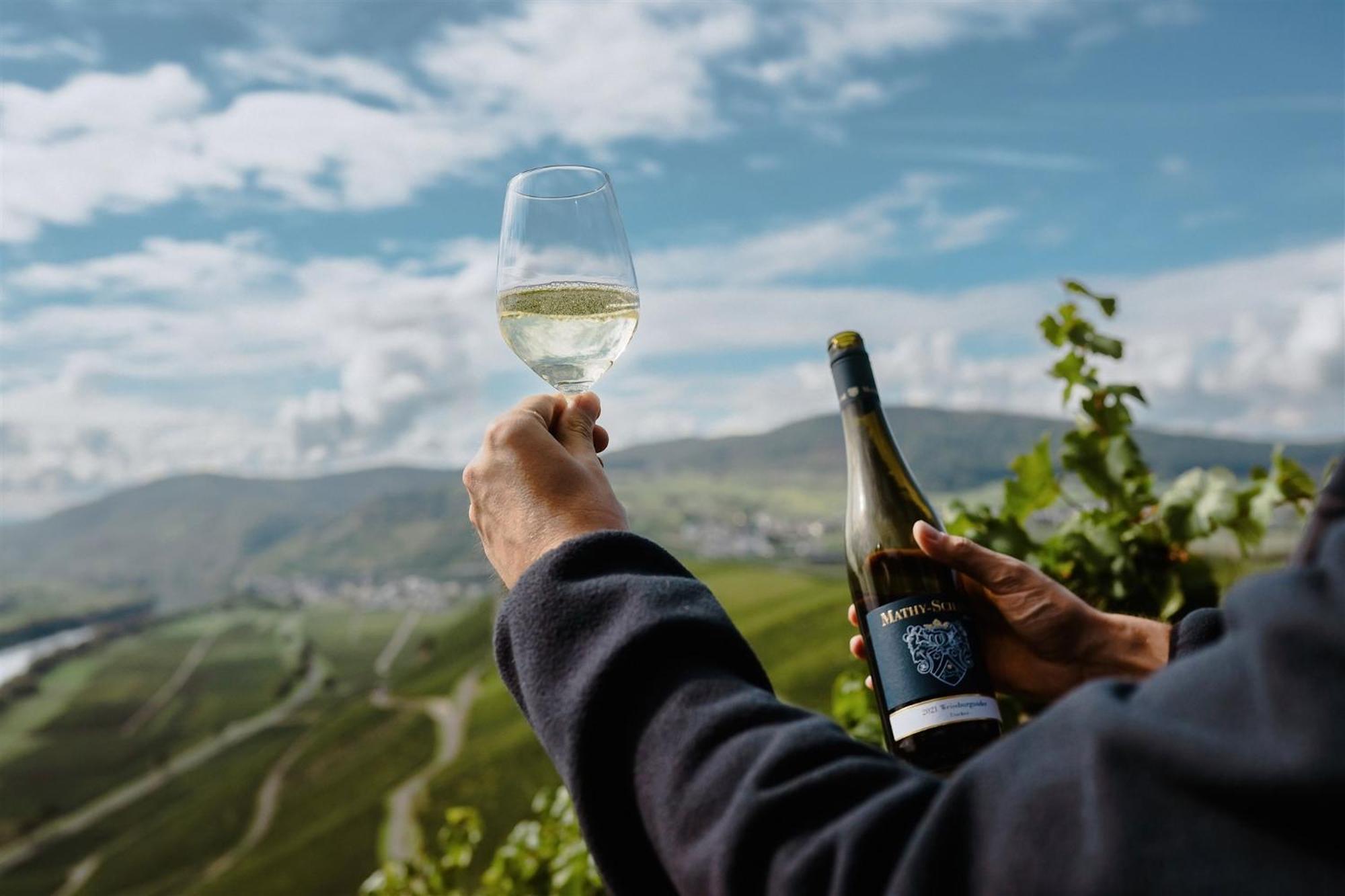 Weingut Mathy-Schanz Osann-Monzel Exterior foto