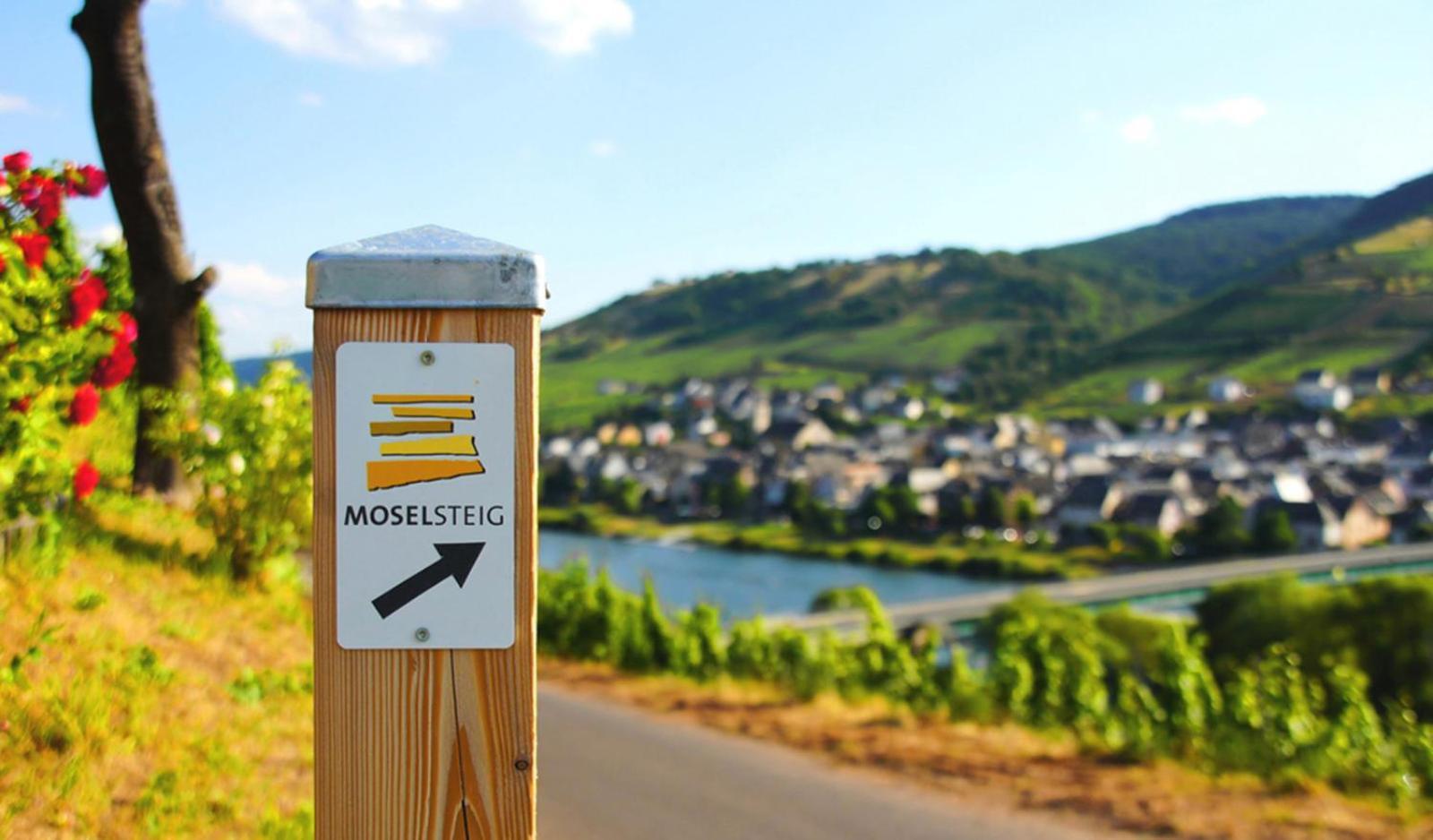 Weingut Mathy-Schanz Osann-Monzel Exterior foto