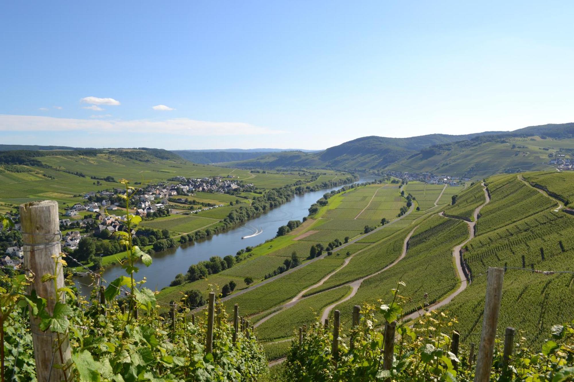 Weingut Mathy-Schanz Osann-Monzel Exterior foto