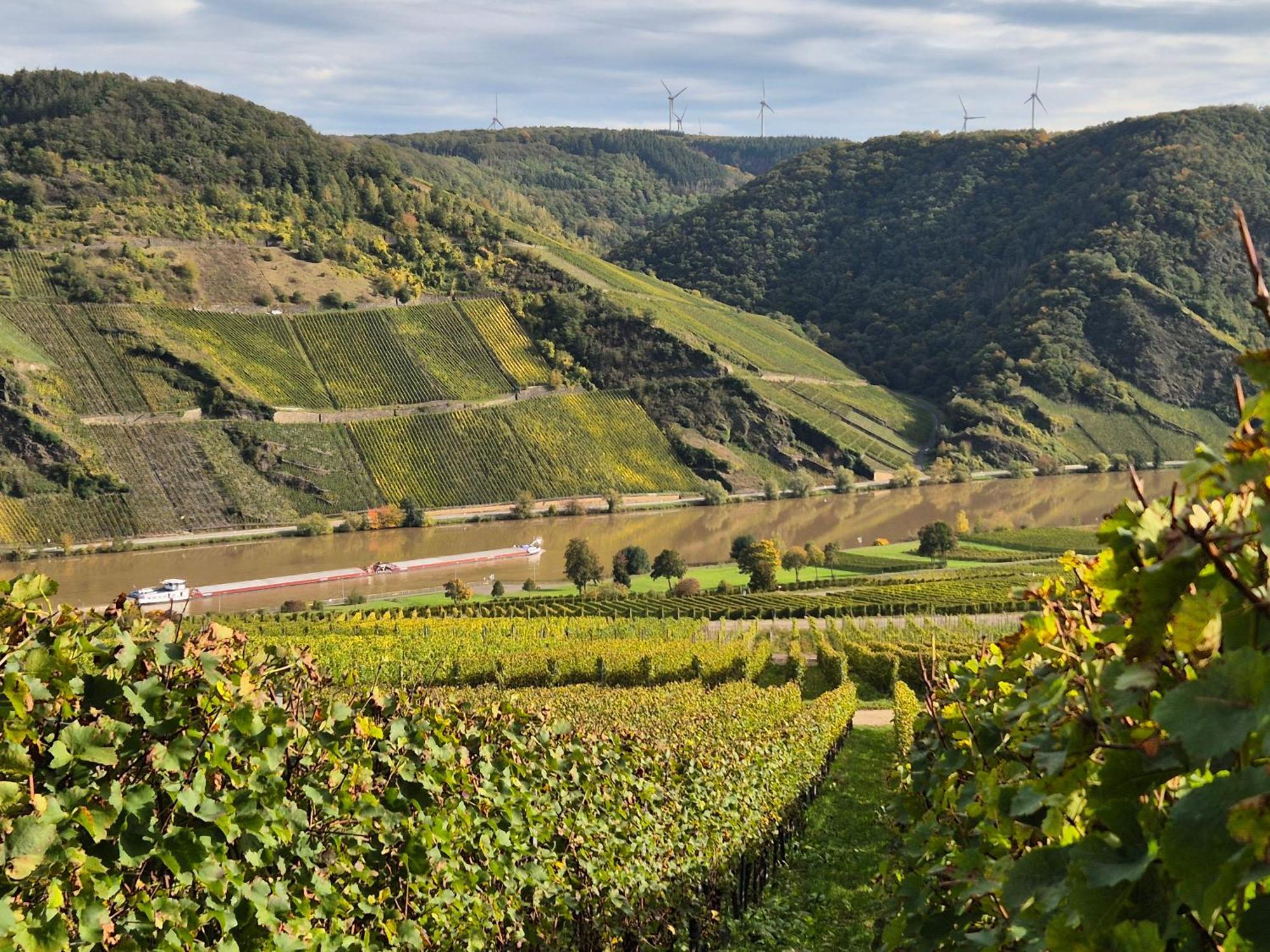 Weingut Mathy-Schanz Osann-Monzel Exterior foto